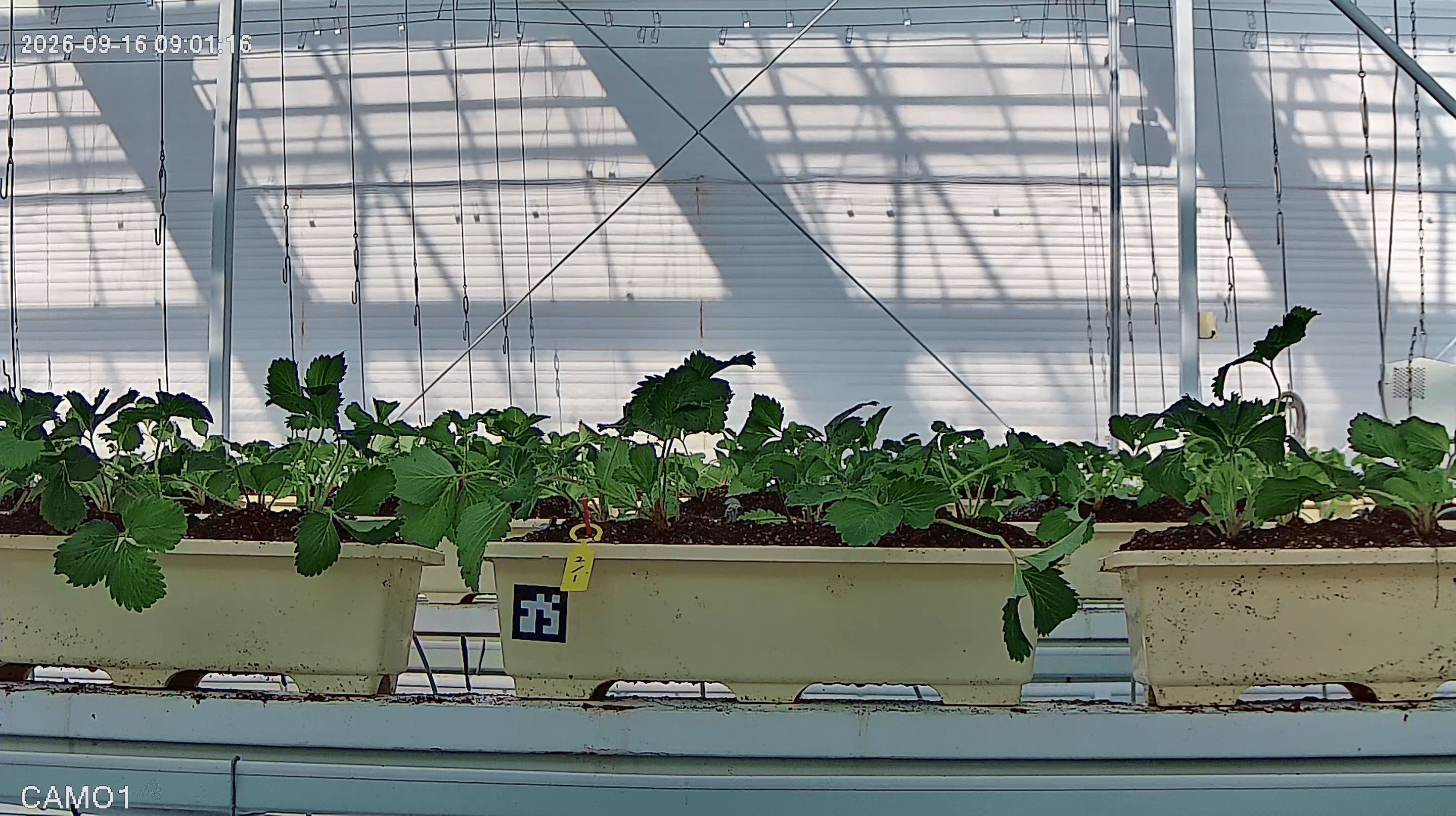 farm_10_device_33_data_10003310_20260916090000.png