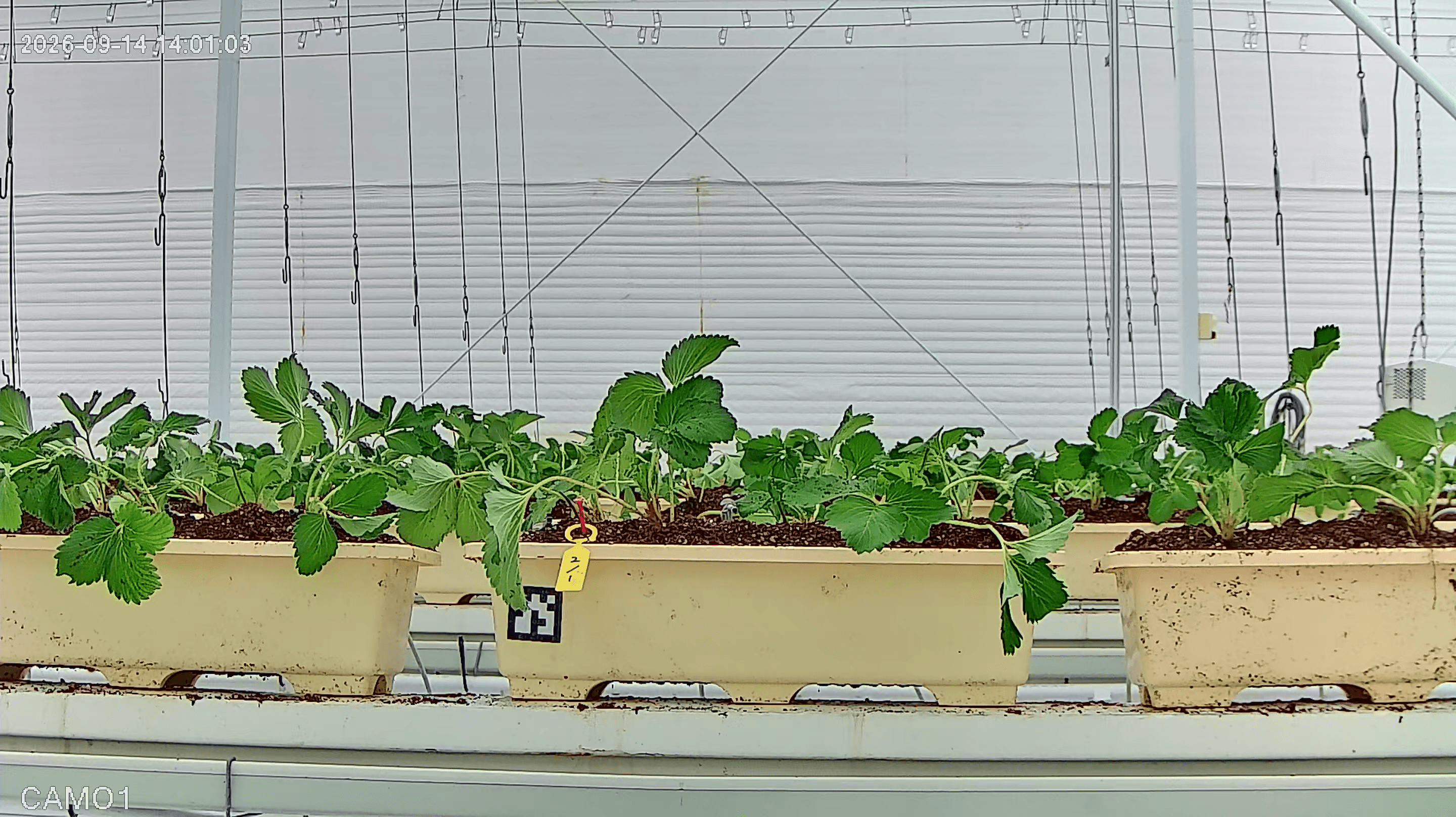 farm_10_device_33_data_10003310_20260914140000.png
