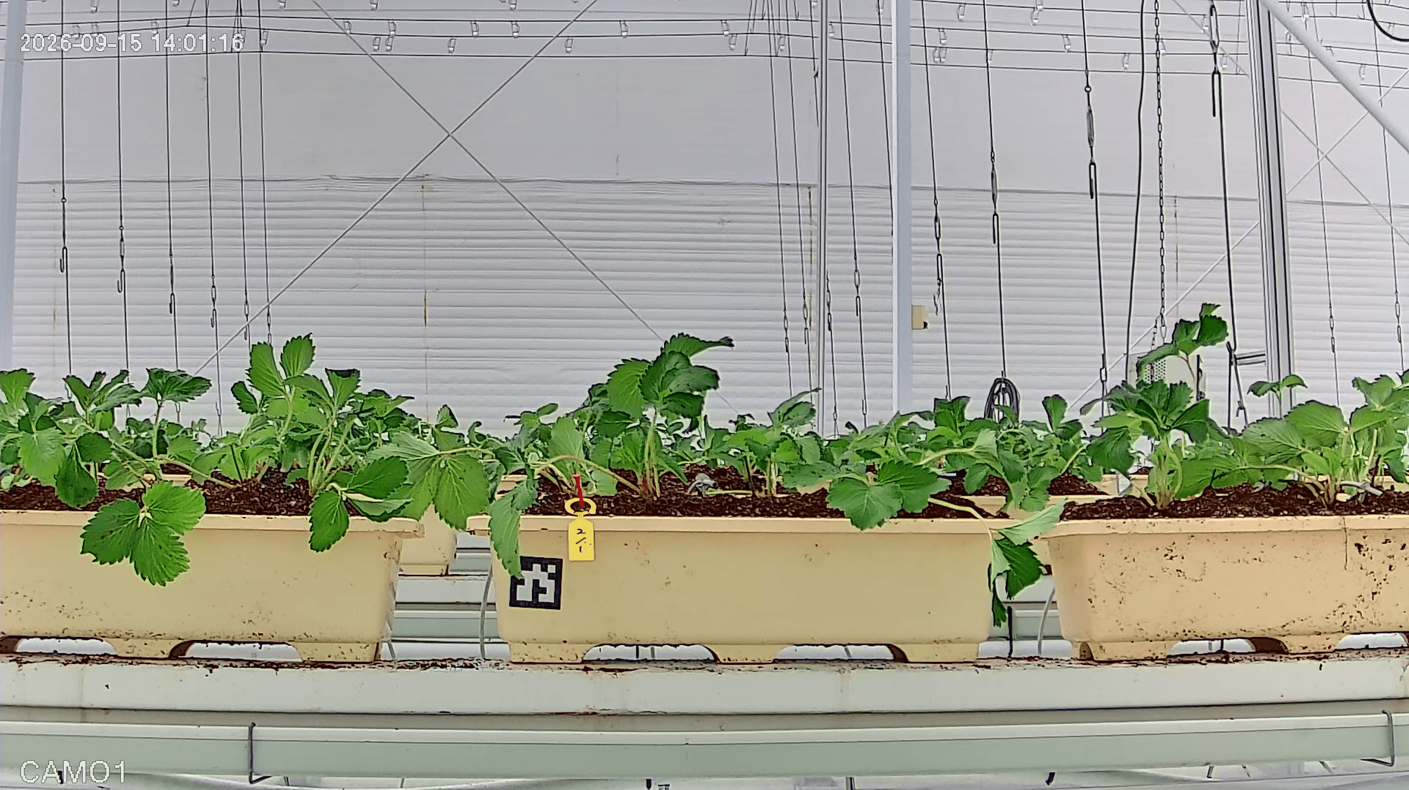 farm_10_device_32_data_10003210_20260915140000.png