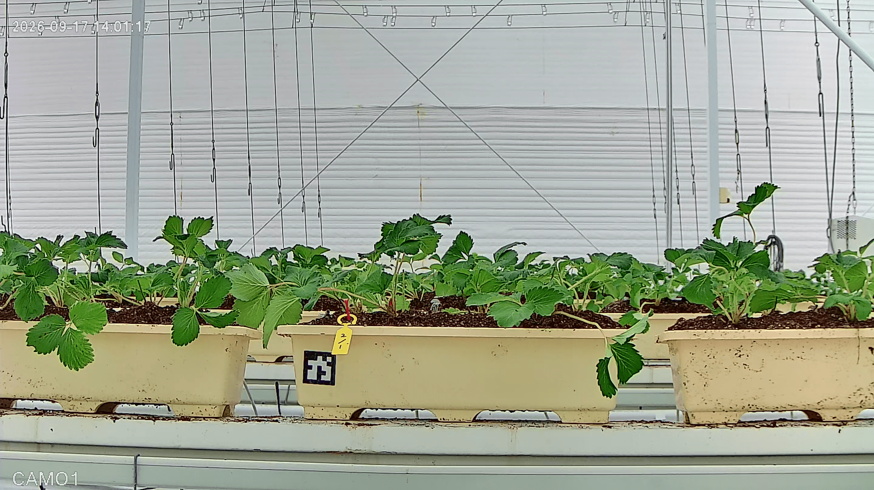 farm_10_device_33_data_10003310_20260917140000.png