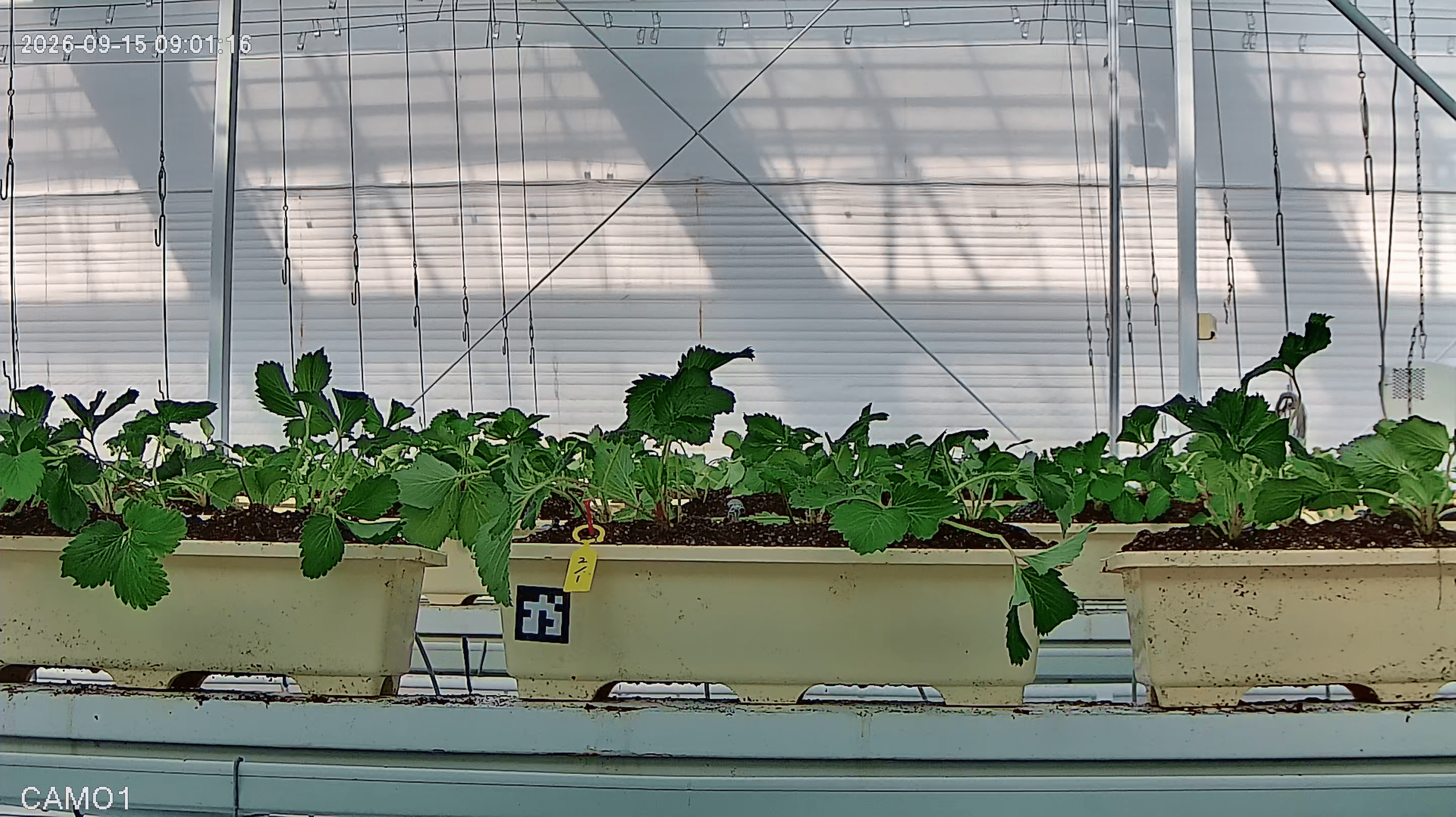 farm_10_device_33_data_10003310_20260915090000.png