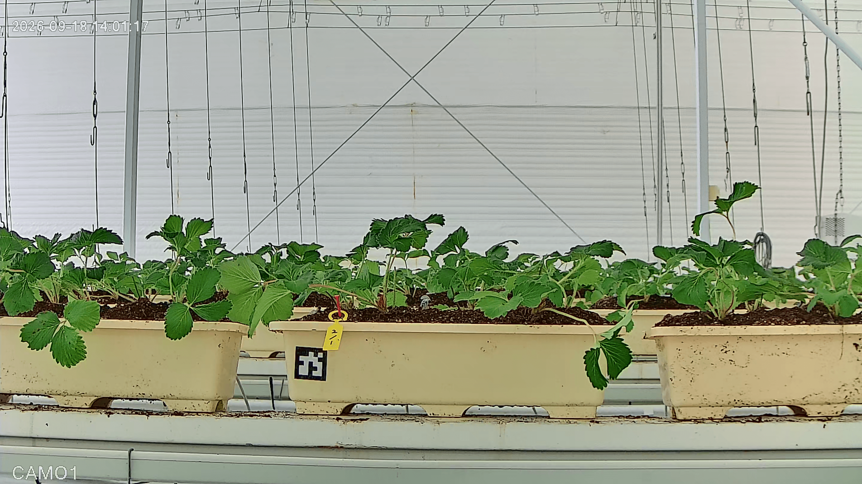 farm_10_device_33_data_10003310_20260918140000.png