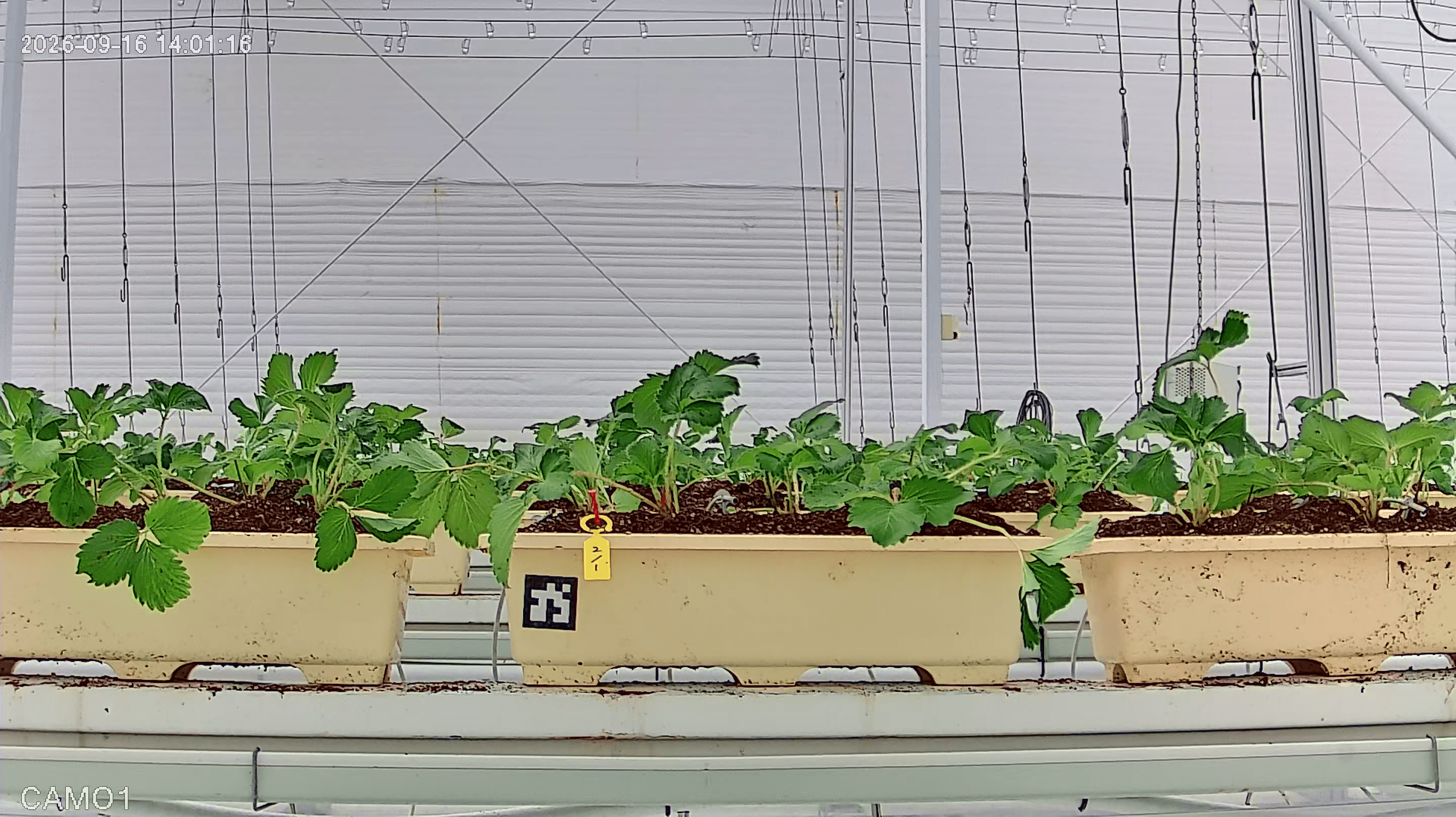 farm_10_device_32_data_10003210_20260916140000.png