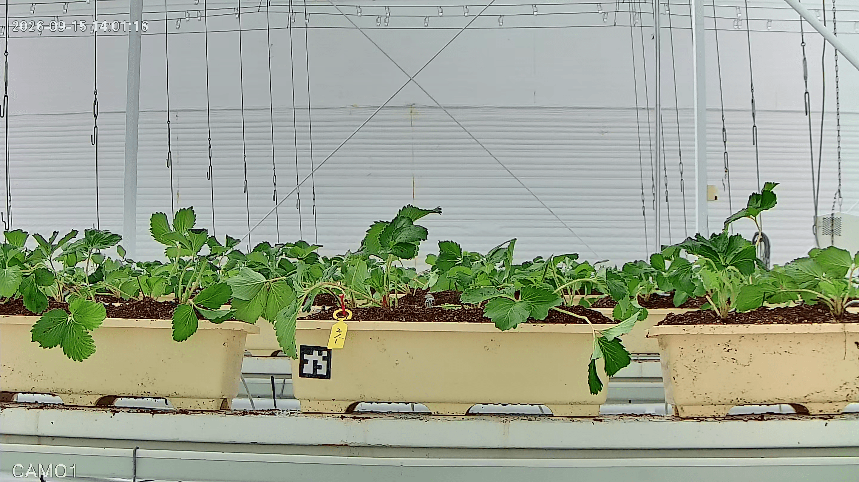farm_10_device_33_data_10003310_20260915140000.png