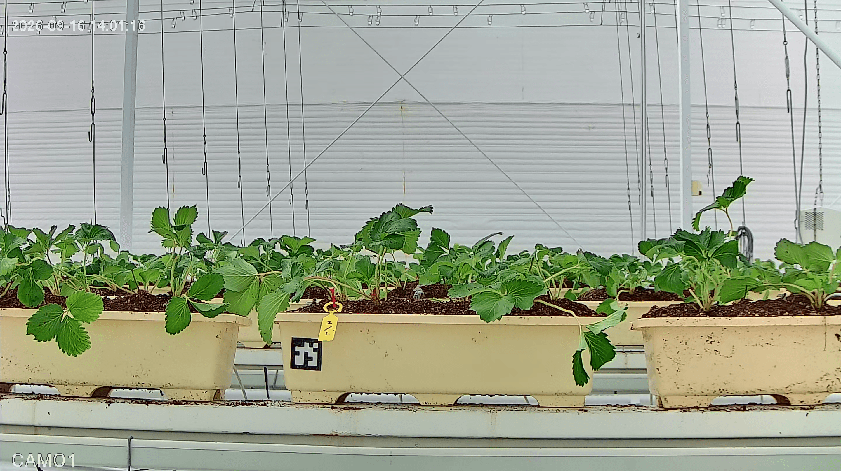 farm_10_device_33_data_10003310_20260916140000.png