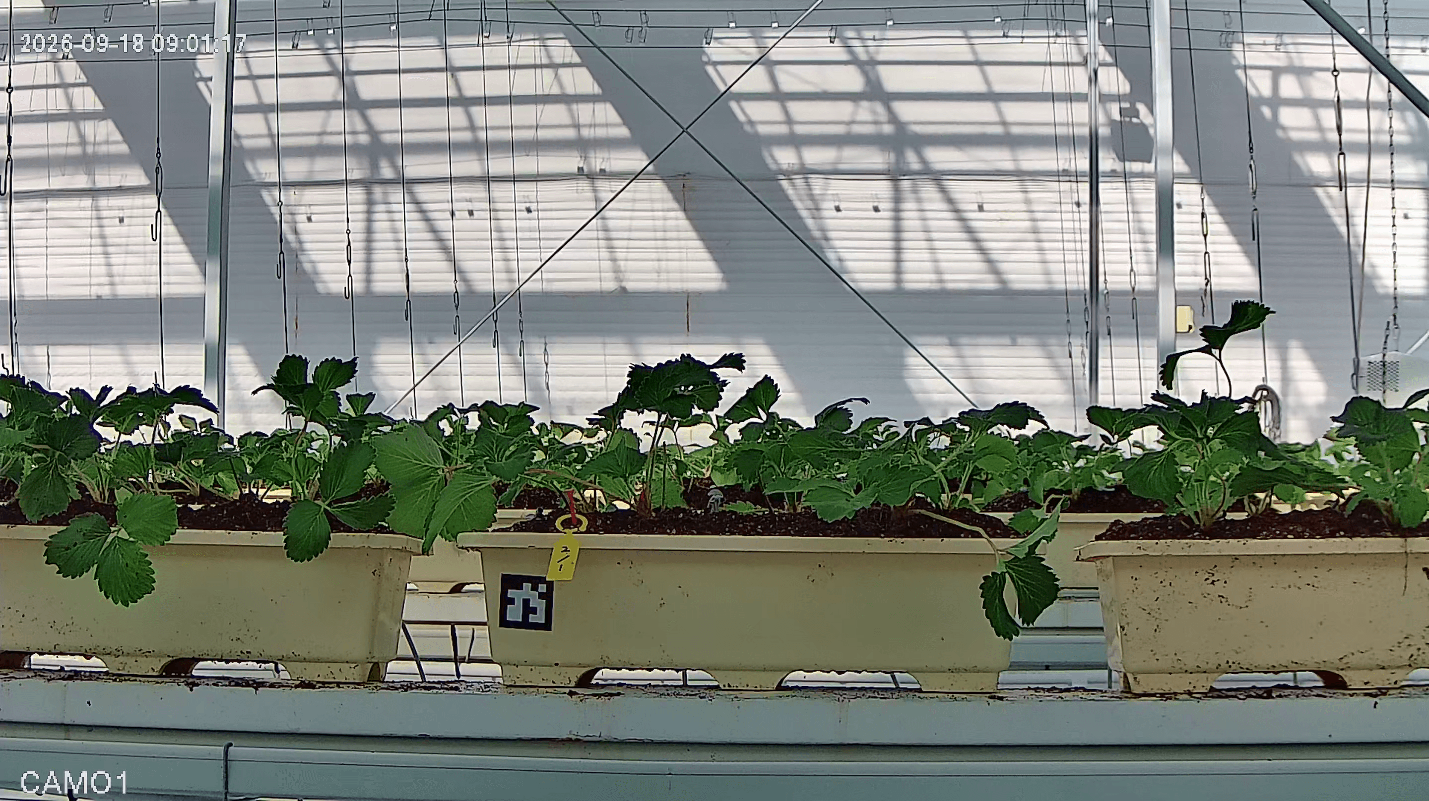 farm_10_device_33_data_10003310_20260918090000.png
