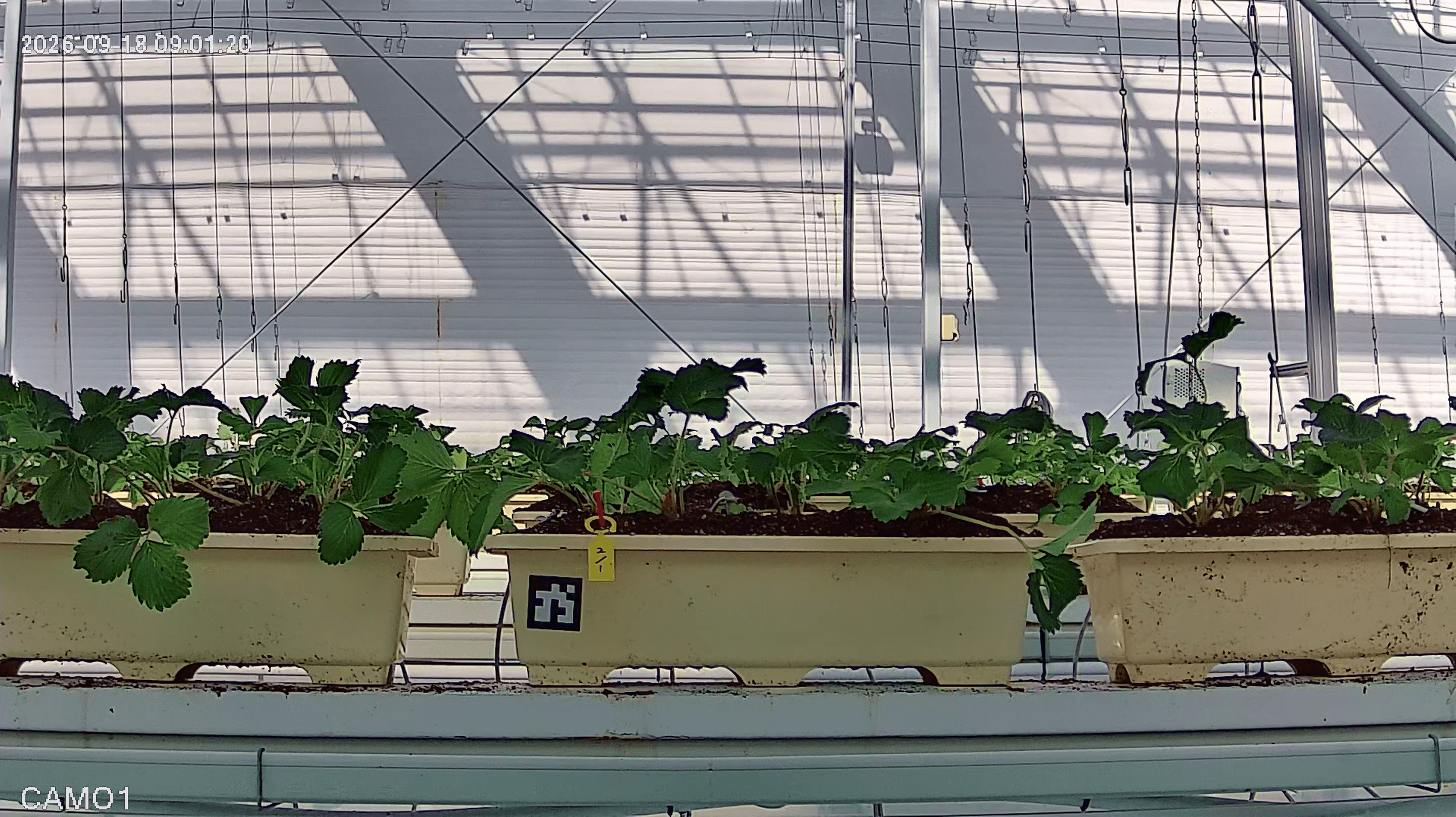 farm_10_device_32_data_10003210_20260918090000.png