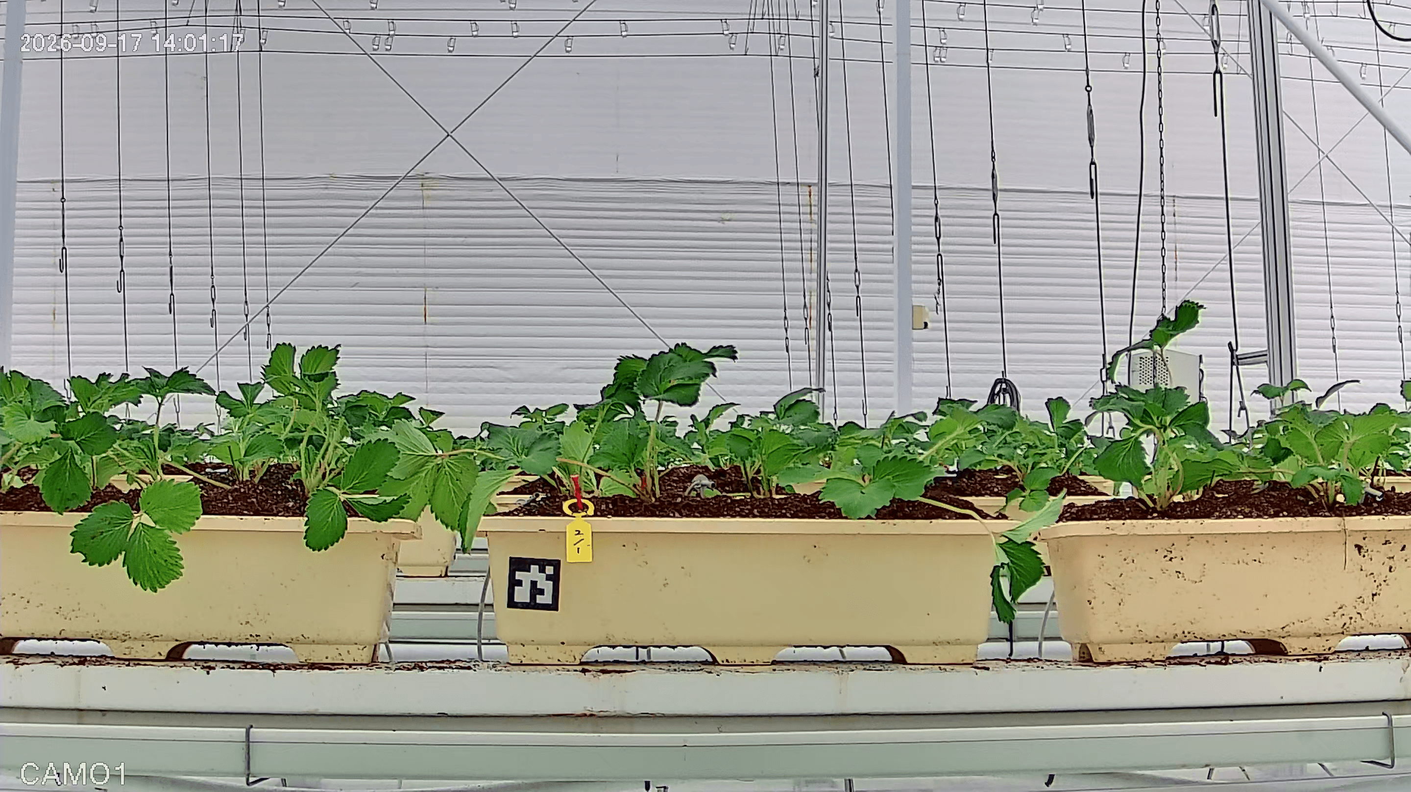 farm_10_device_32_data_10003210_20260917140000.png