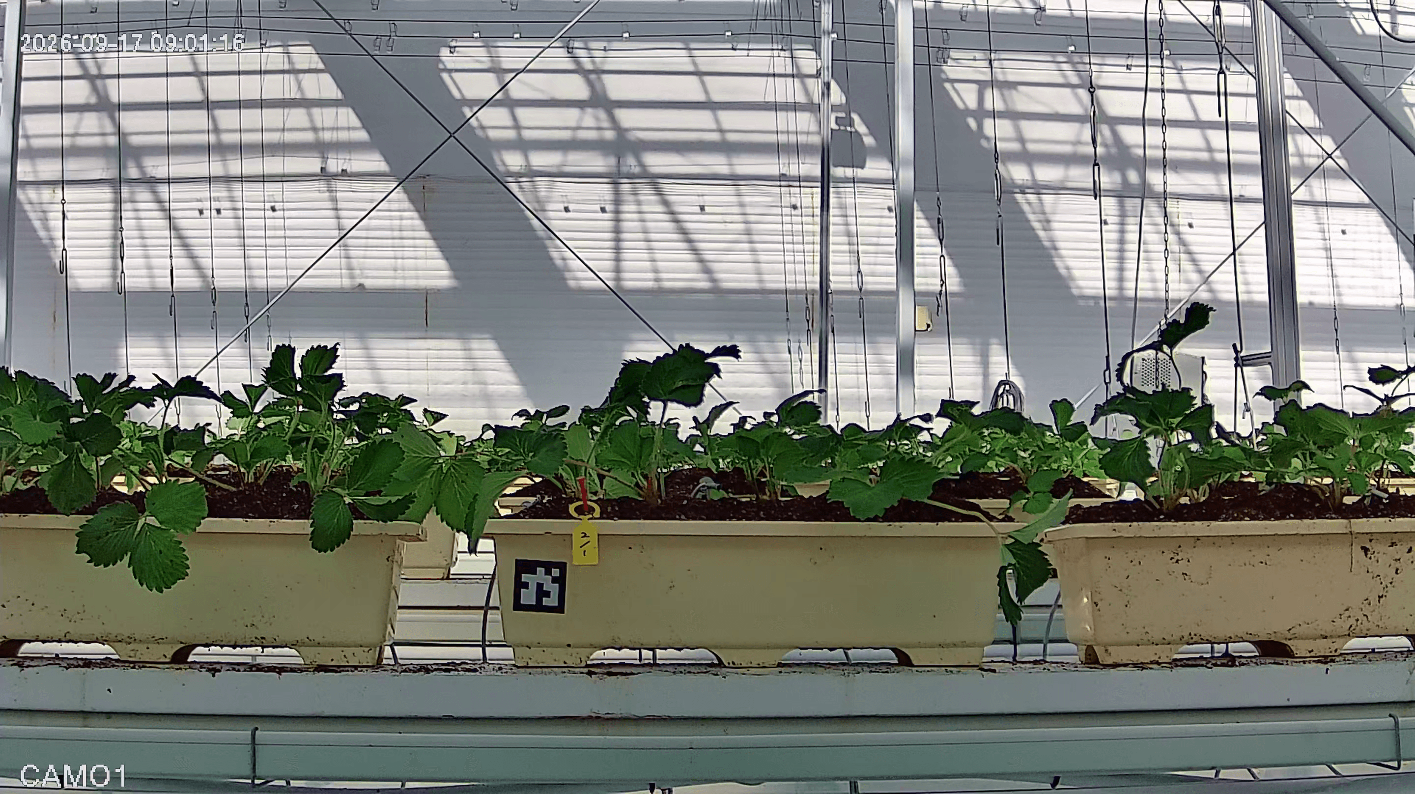 farm_10_device_32_data_10003210_20260917090000.png