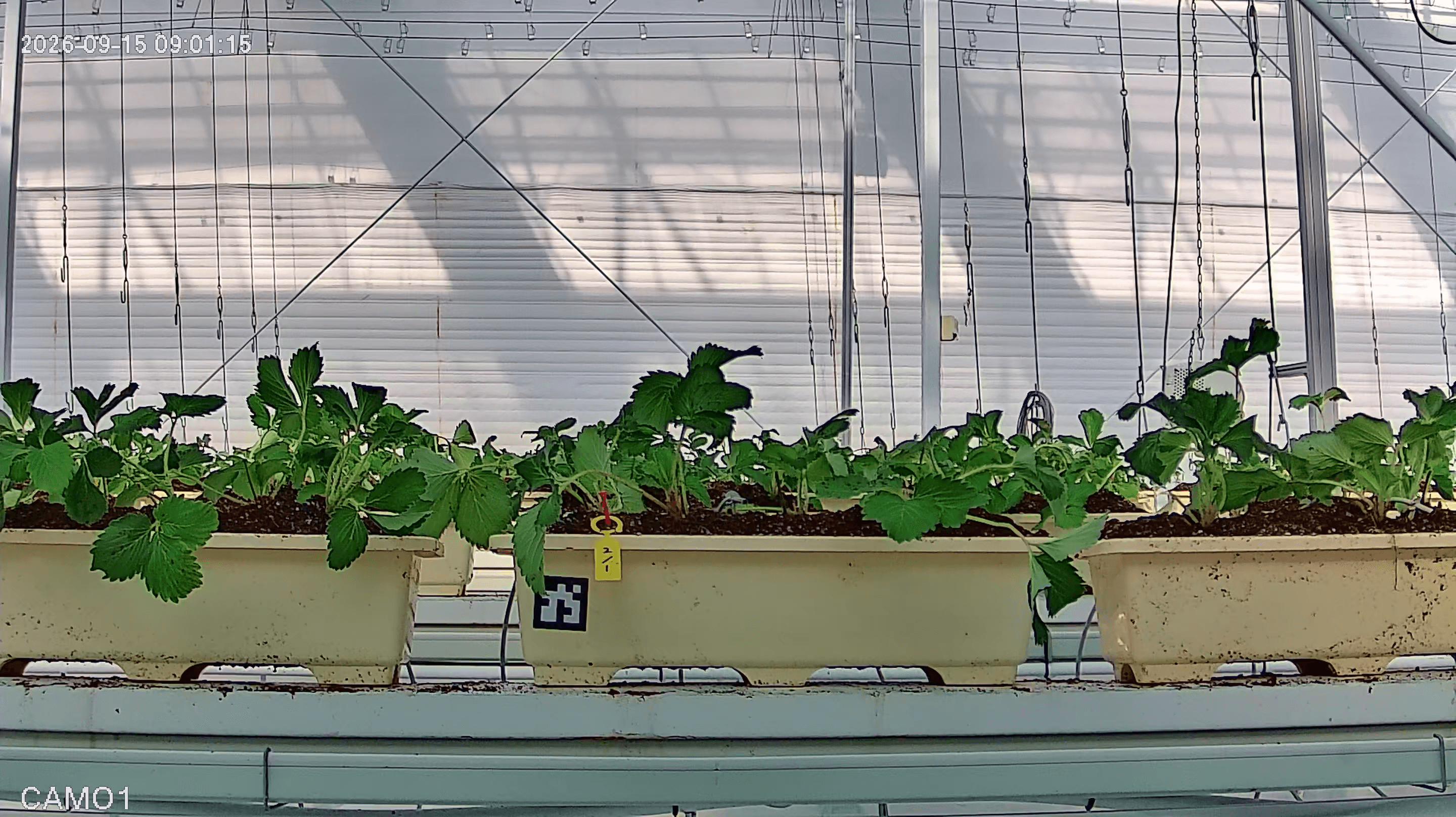 farm_10_device_32_data_10003210_20260915090000.png