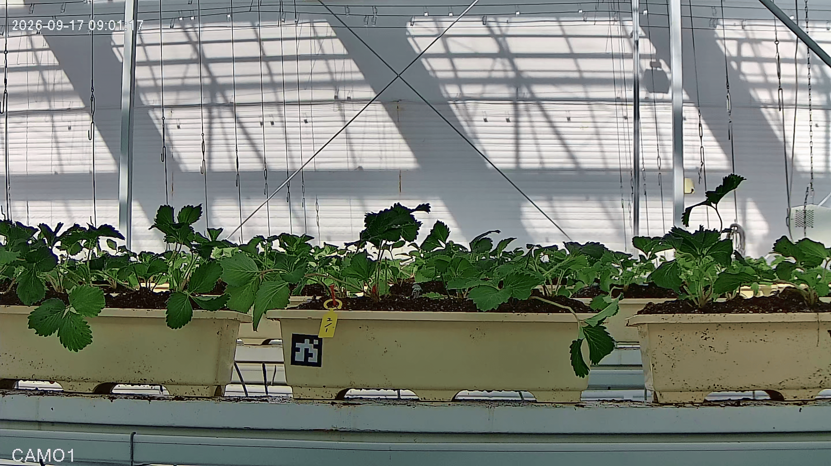 farm_10_device_33_data_10003310_20260917090000.png