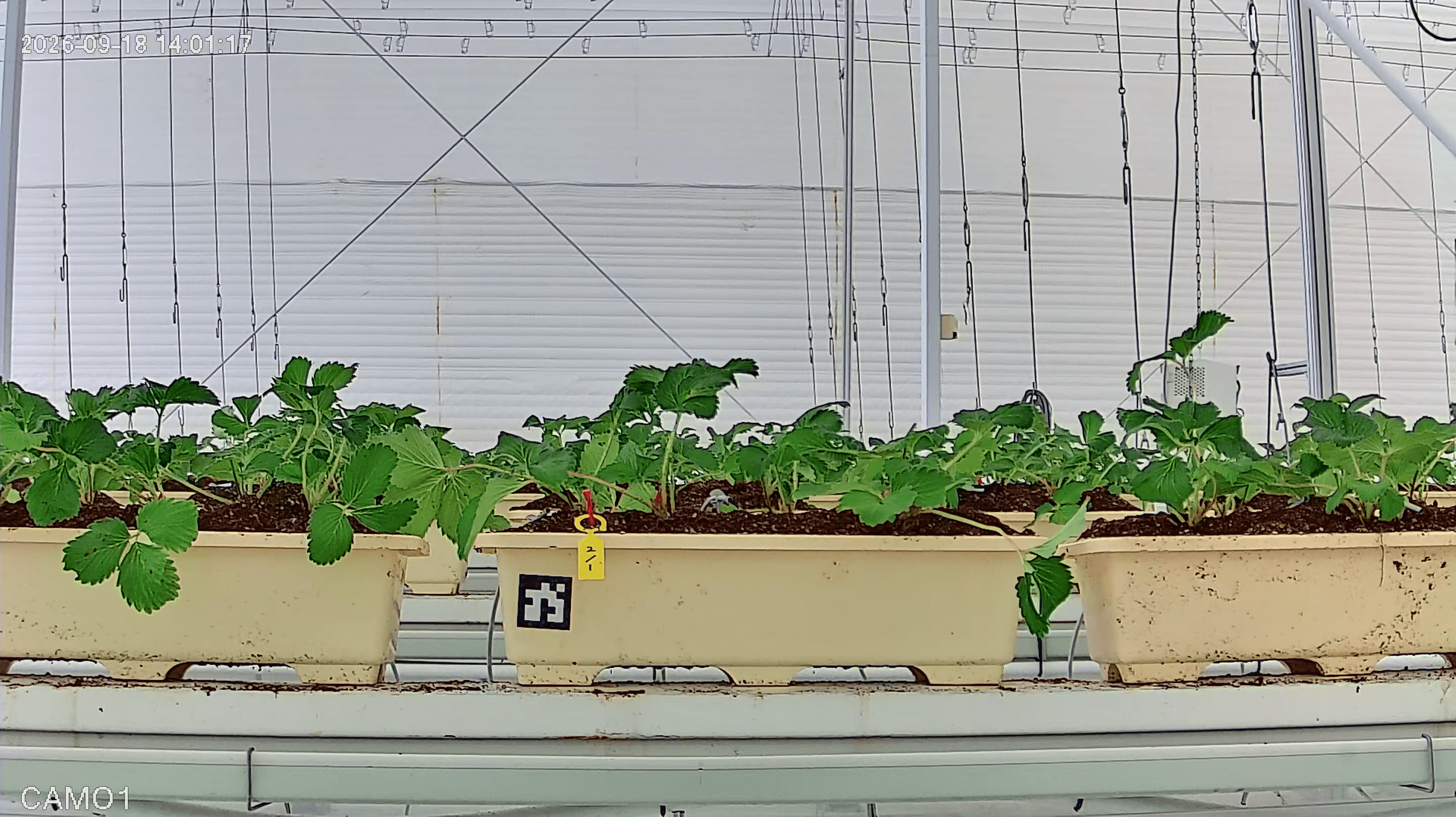 farm_10_device_32_data_10003210_20260918140000.png