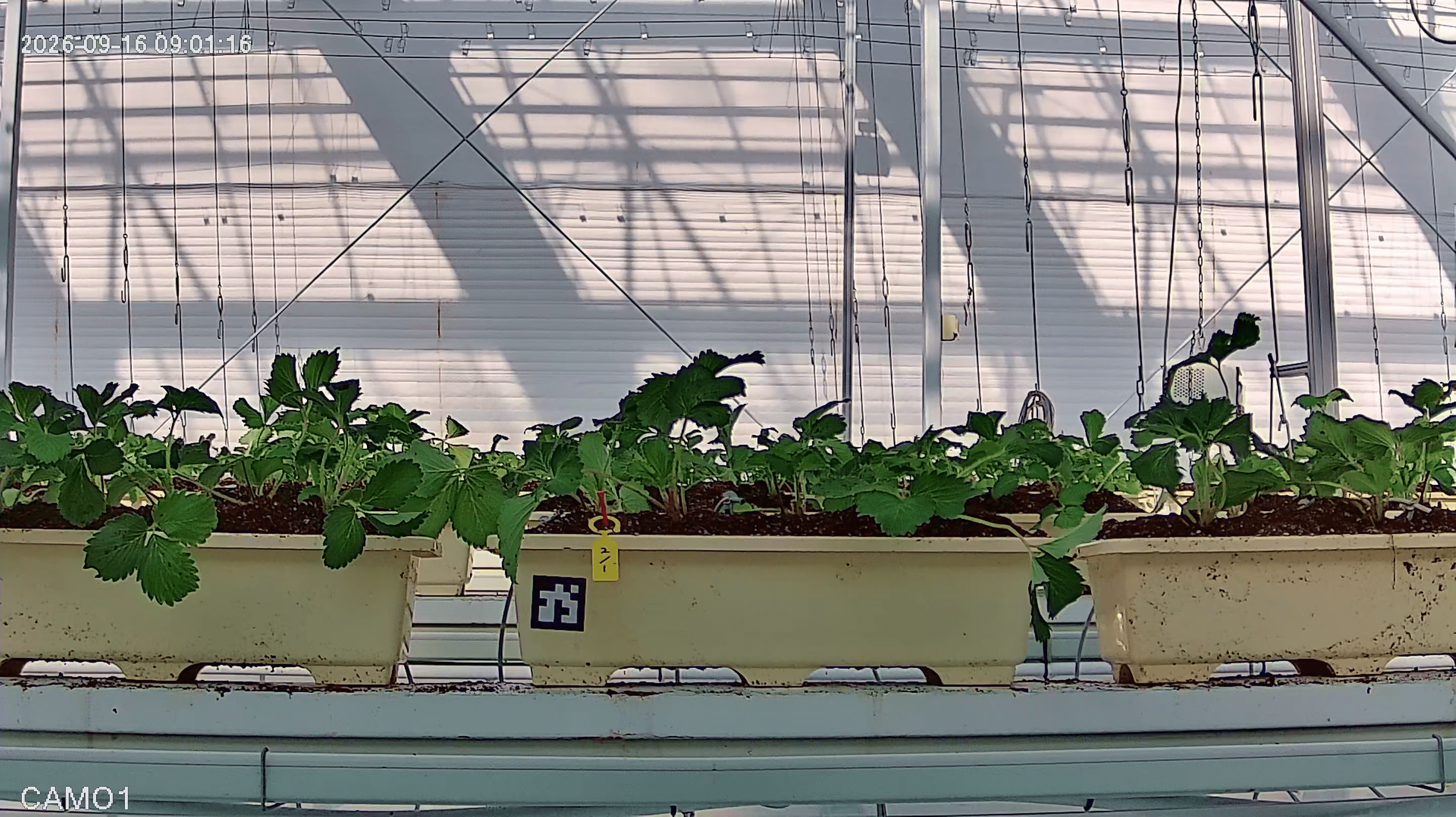farm_10_device_32_data_10003210_20260916090000.png