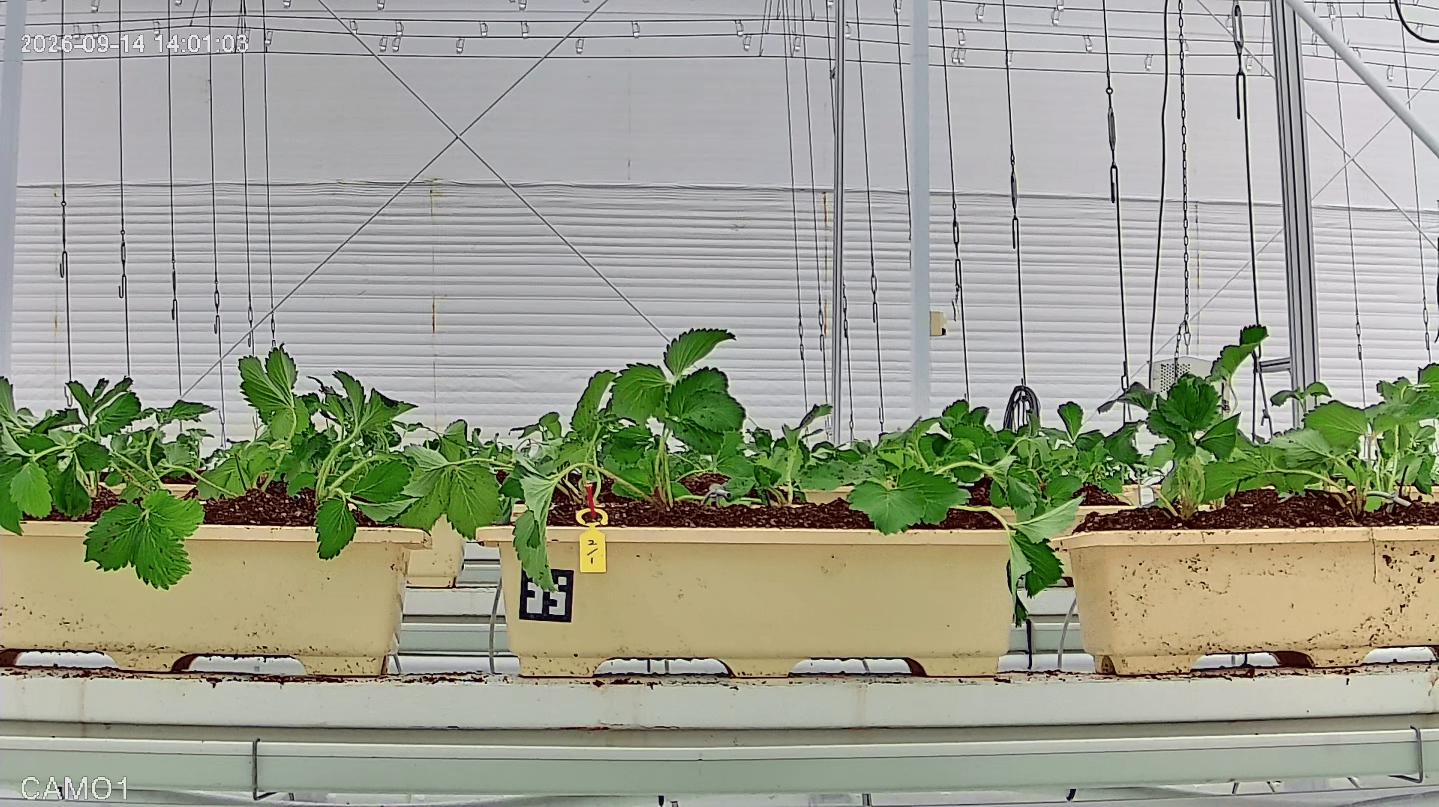 farm_10_device_32_data_10003210_20260914140000.png